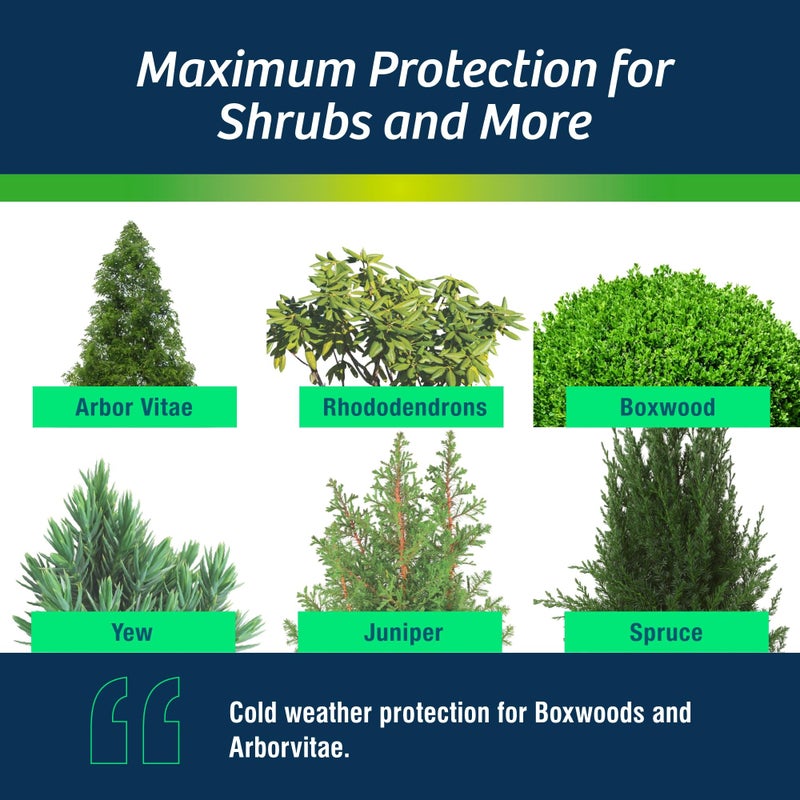Wilt-PrufÂ® Concentrate | Protect Against Winter Damage, Drought, and Stress | Just Spray & Let Dry | Locks in Moisture w/Clear Foliar Film | Professional-Grade & Trusted | Replaces Burlap | (1 Gal) - Image 3